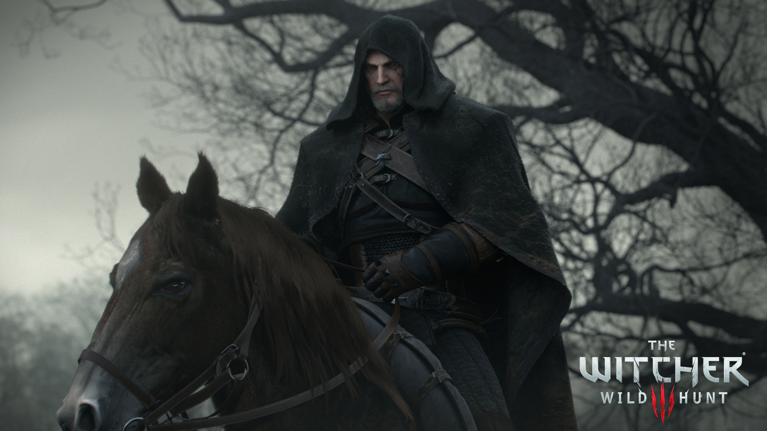Witcher 3 Wild Hunt, The -  wallpaper 6 (2560x1440).jpg